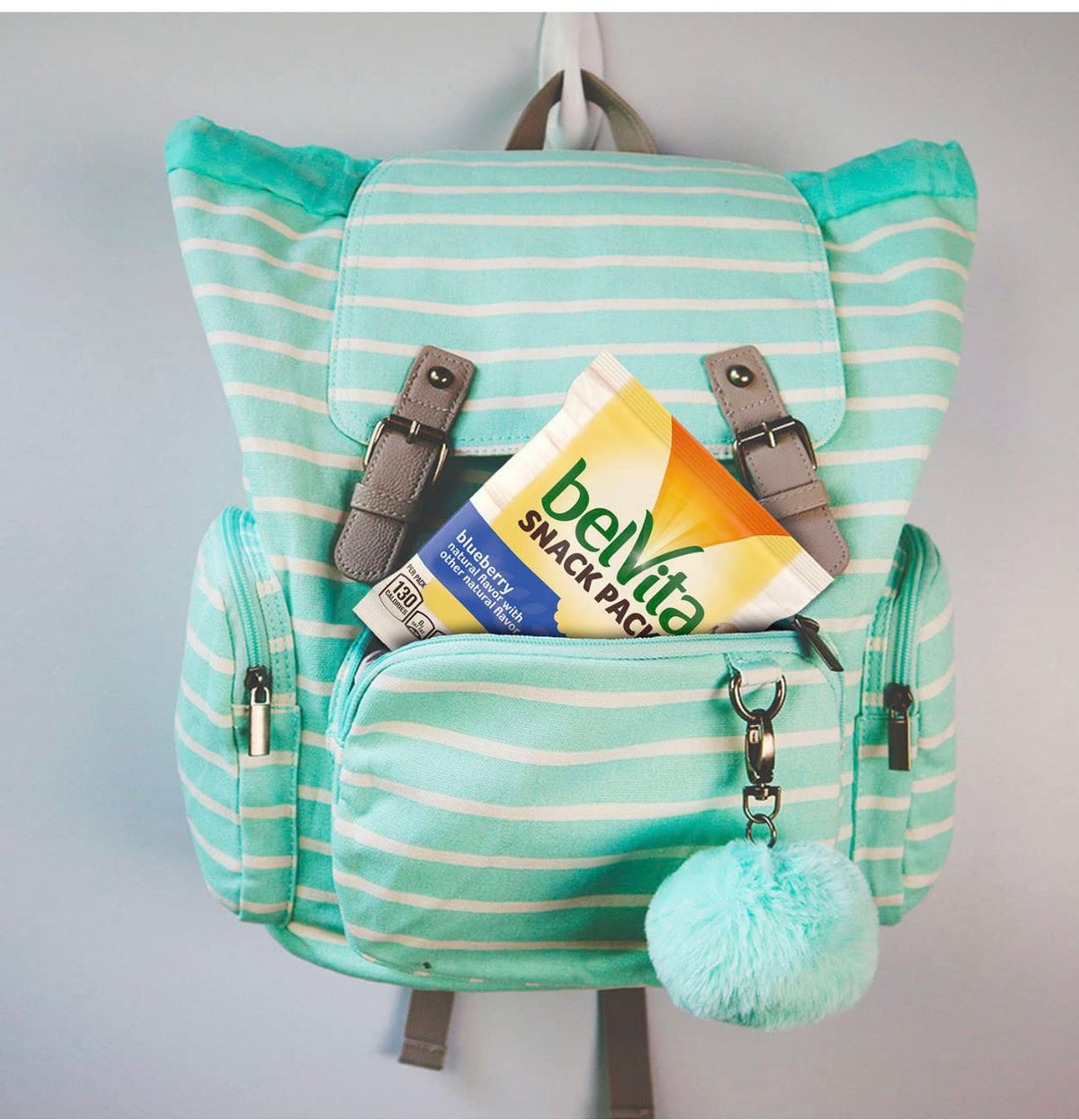 BelVita Breakfast Biscuits Variety Packs | 3 Natural Flavors - 12 Chocolate belVita Snack Packs, 12 Cinnamon Brown Snack Packs, and 12 Blueberry Snack Packs | Sameday Shippers Offers Free SameDay Shippers Branded Bag Clip
