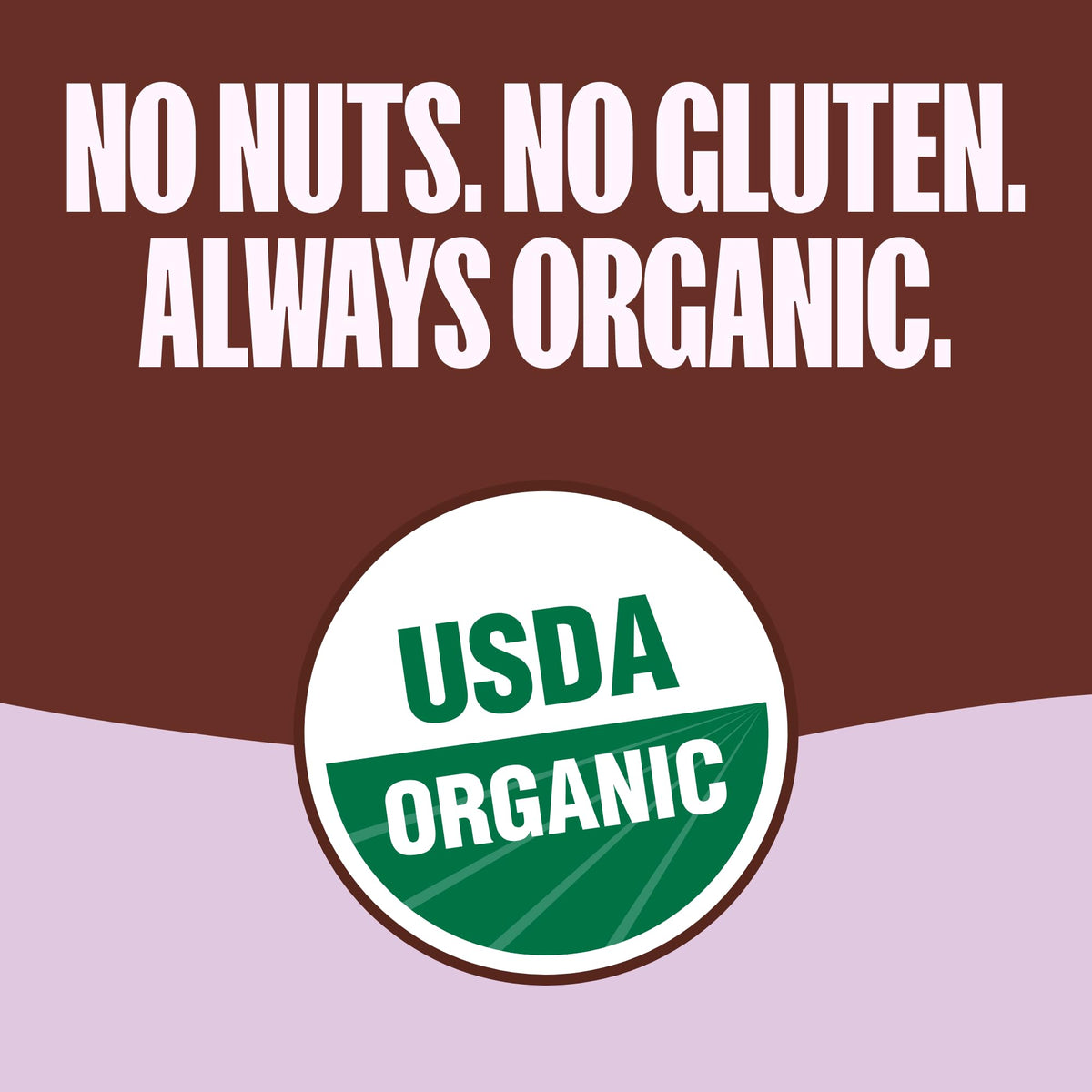 MadeGood Organic Chocolate Chip Granola Bites, 5ct x 0.85oz