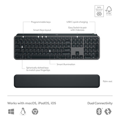 Logitech MX Master 3S Wireless Mouse Standard Edition with Logi Bolt USB Receiver, Ultra-Fast Scrolling, Ergo, 8K DPI, Track on Glass, Quiet Clicks, USB-C, Bluetooth, Windows, Linux, Chrome - Graphite